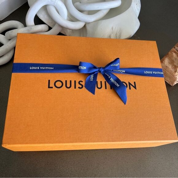 LOUIS VUITTON Authentic Twist MM Gunmetal Silver Color - Picture 16 of 16